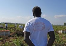 Coron’Agriculture : l’Italie veut régulariser 600 000 sans-papiers pour pallier le manque de main d’œuvre