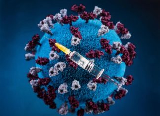 Vaccins contre le coronavirus : 115 candidats dénombrés