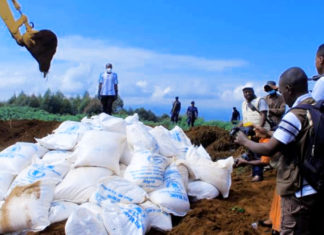 RDC : plus de 300 tonnes de riz avarié détruits
