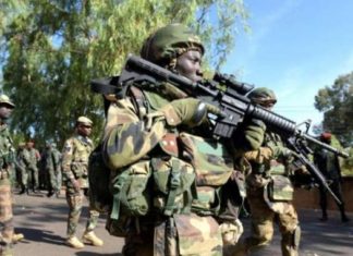 Frontières : L’armée se perd en territoire gambien