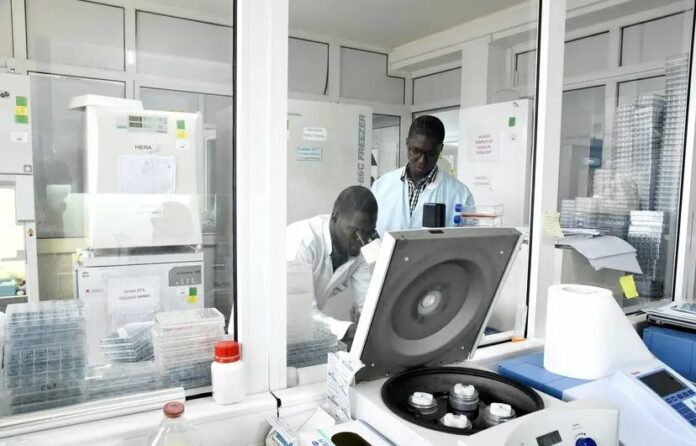coronavirus-4-696x446
