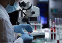 COVID-19: baisse des cas, fin de la pandémie en vue (OMS)