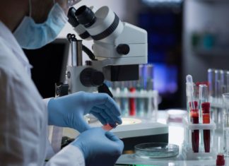 COVID-19: baisse des cas, fin de la pandémie en vue (OMS)