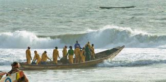 Sauvegarde des ressources halieutiques : Le Sénégal refuse de délivrer de nouvelles licences de pêche