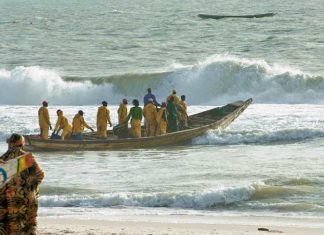 Sauvegarde des ressources halieutiques : Le Sénégal refuse de délivrer de nouvelles licences de pêche