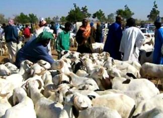 La Tabaski de 2020 sera célébrée vendredi 31 juillet au Sénégal