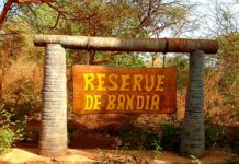 Après Ndengler, d’autres problèmes fonciers sortis de terre à Sindia