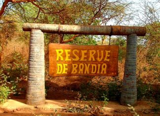Après Ndengler, d’autres problèmes fonciers sortis de terre à Sindia