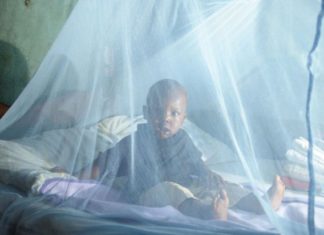 Malgré l’hivernage, pénurie de médicaments antipaludéens au Sénégal