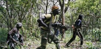 « Le Monde » français titre sur « la Casamance, plus vieille rébellion d’Afrique ». Et la Corse française, plus vieille rébellion d’Europe?
