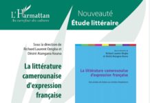 Note de lecture: Plongée au cœur du nouvel âge d’or de la littérature camerounaise