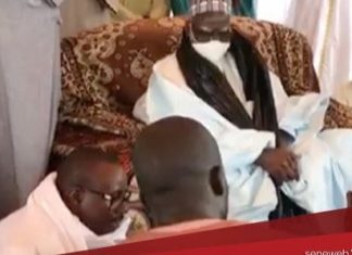 VIDÉO/ Edition 2020: Le Magal de Touba aura lieu