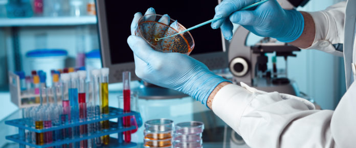 laboratoire
