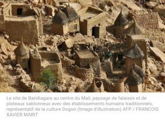 La presse africaine unanime : le troc jihadistes contre otages, une fausse bonne idée avec un premier bain de sang