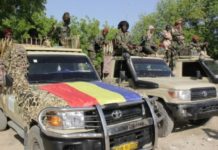 Tchad: six soldats tués dans une embuscade de Boko Haram