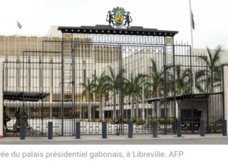Projet au Gabon : désormais tout un collège de personnes pour assurer l’intérim en cas de vacance du pouvoir