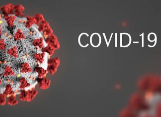 Le mot de l’année: Covid-19, un nom mutant « masculin-feminin »