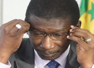 Projet Ndar-Ndar « Avenue Macky Sall »: Mary Teuw Niane dézingue le « pro -moteur » Mansour Faye