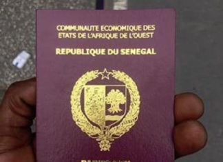 Renouvellement de passeports : L’arrivée d’une mission bissau-guinéenne ravive la colère des Sénégalais résidant en Russie.