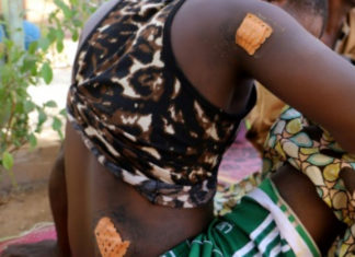 Attaques jihadistes au Niger: « ils ont tiré sur nous, égorgé, brûlé des gens » (un rescapé)