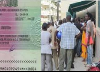 Gestion des visas Schengen: licenciement de 5 employés de VFS Global