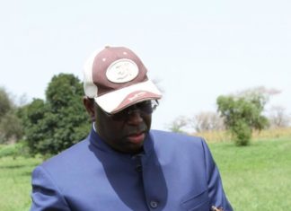 Cacahuètes : Macky Sall réautorise l’exportation, 111 milliards exportés en Chine, « la Sonacos doit se bouger »