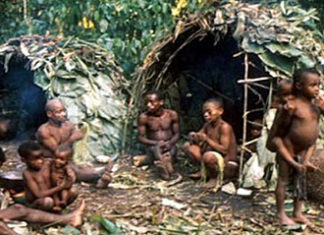 Au Congo RDC, génocide de Pygmées, tués par dizaines