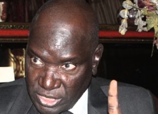 Plainte contre X ?: « Dans ce cas, personne n’a le droit de lever l’immunité parlementaire d’Ousmane Sonko », Me Babou