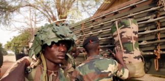 L’armée sénégalaise reprend cinq bases des rebelles du MFDC