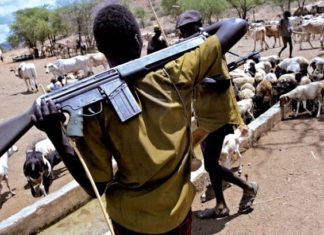 35 morts : Au Tchad, conflit meurtrier entre communautés