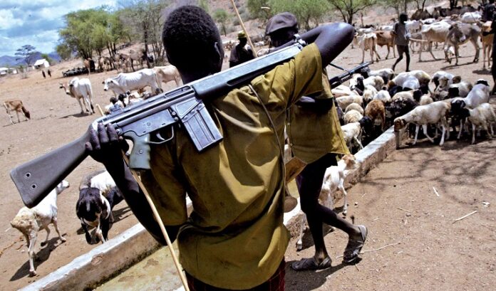 small_arms_fueling_violence-696x409