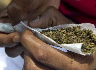 3 dealers de chanvre indien tombent à Cambérène
