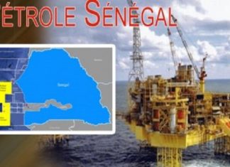 Pétrole sénégalais : Encore Franck Timis ! Bras de fer entre le gouvernement Sall et sa société PetroNor
