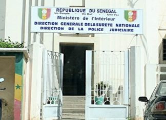 Braquage des Chinois aux Allées du Centenaire: le lutteur de Fass, Général, arrêté par la police