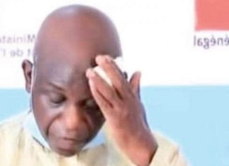 Pour Saint-Louis : Monsieur Beau-Frère, le ministre- maire Mansour Faye, palpe 817 millions de la CDC