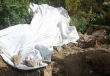 Découverte macabre à Baïla : les restes d’un enfant retrouvés, 7 mois après sa disparition