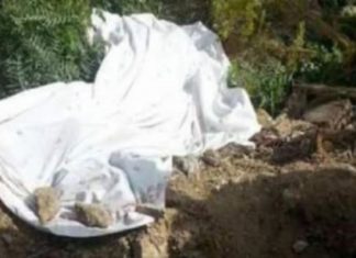 Découverte macabre à Baïla : les restes d’un enfant retrouvés, 7 mois après sa disparition
