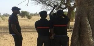 Kolda : A Médina Chérif, une jeune fille se donne la mort par pendaison