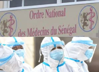 Guérisseur à tout-va au Sénégal : la « colère-remède » de l’Ordre des médecins