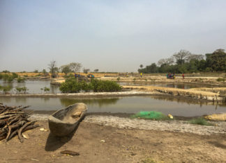 Ziguinchor : saisie de 245 kg de drogue à Thionck Essyl