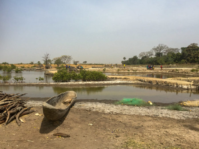 Thionk-Essyl-Casamance-Senegal-4
