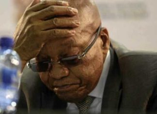 Condamné à 15 mois de prison ferme, l’ex-président sud-africain Jacob Zuma se constitue prisonnier