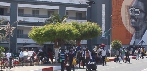 vacudca