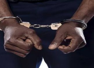 Meurtre de Lobé Ndiaye : l’assassin et ses deux complices arrêtés par les gendarmes