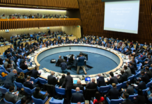 Le Sénégal va siéger au conseil exécutif de l’OMS