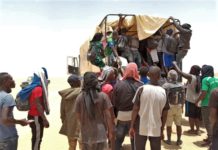 Migration : plus de 30 Sénégalais en détresse à Agadès, selon HSF