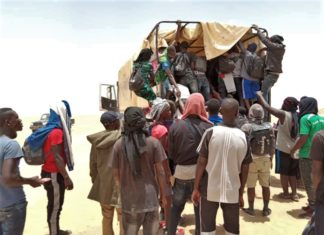 Migration : plus de 30 Sénégalais en détresse à Agadès, selon HSF