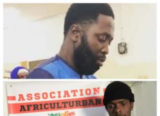 « Micmac Galsen » en trafic de visa : le « facilitateur » de Kilifeu identifié