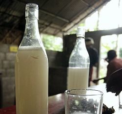 Grand-Yoff : arrêté pour vente illicite de vin de palme, F. Diatta nie en bloc devant le juge