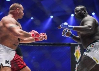 MMA, NOUVEAU VEAU D’OR DES LUTTEURS SÉNÉGALAIS : La réalité des cachets